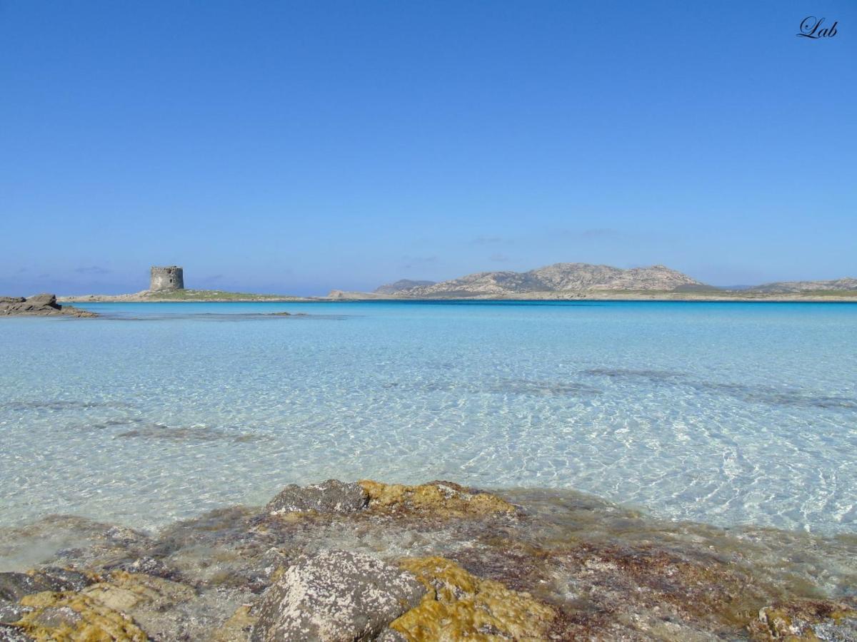 Golden Villa, Residenza Di Campagna Σάσαρι Εξωτερικό φωτογραφία